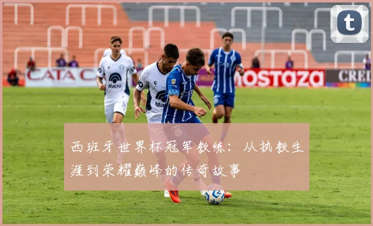 西班牙世界杯冠军教练：从执教生涯到荣耀巅峰的传奇故事